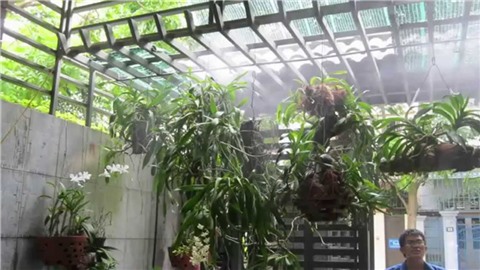 Bảng báo giá lắp đặt hệ thống phun sương ở Hà Nội