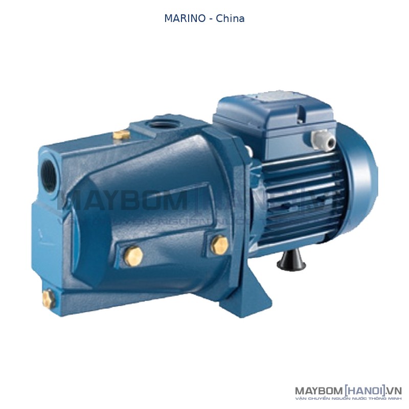 Máy bơm bán chân không Marino CAM 100 cánh phíp (750w) 2