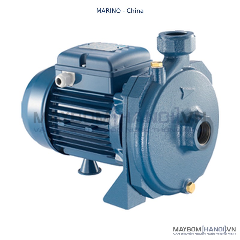 Máy bơm nước ly tâm Marino CM 100 cánh đồng (750w) 2