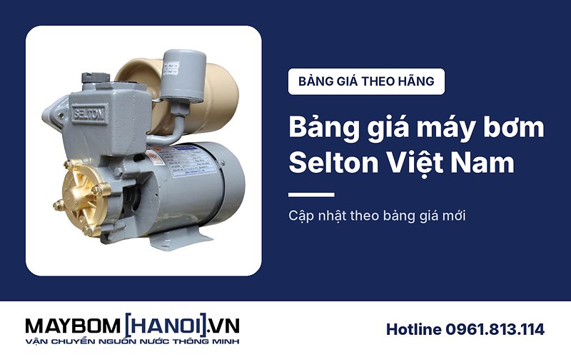 Bảng giá máy bơm nước gia đình Selton Việt Nam mới nhất