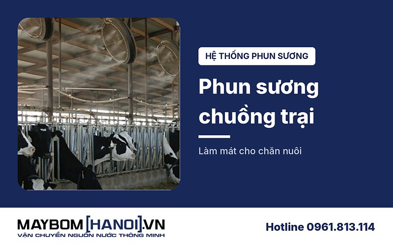 Hệ thống phun sương chuồng trại chăn nuôi