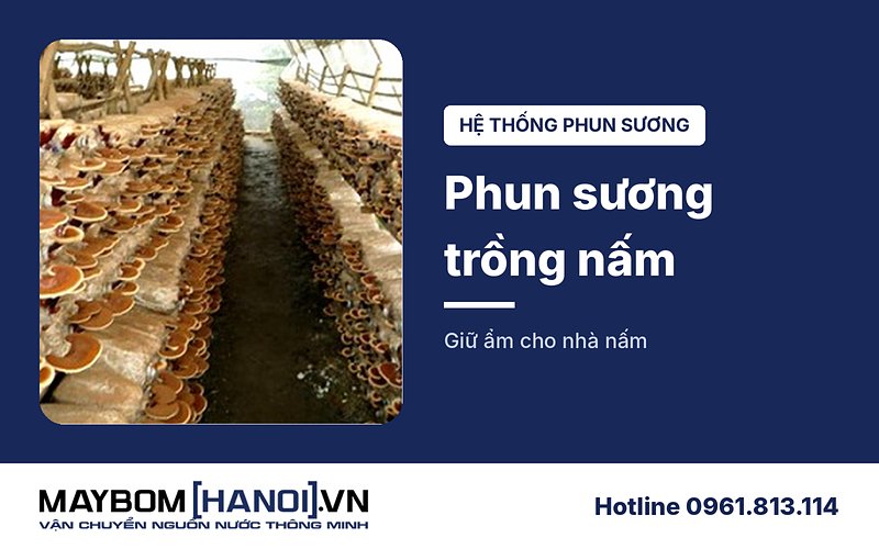 Hệ thống phun sương trồng nấm