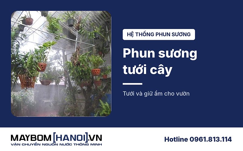 Hệ thống phun sương tưới cây