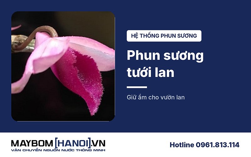 Hệ thống phun sương tưới lan