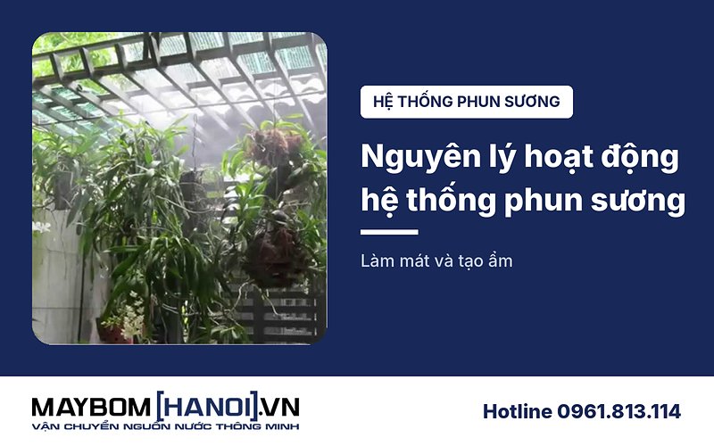 Nguyên lý hoạt động của hệ thống phun sương làm mát, tạo ầm
