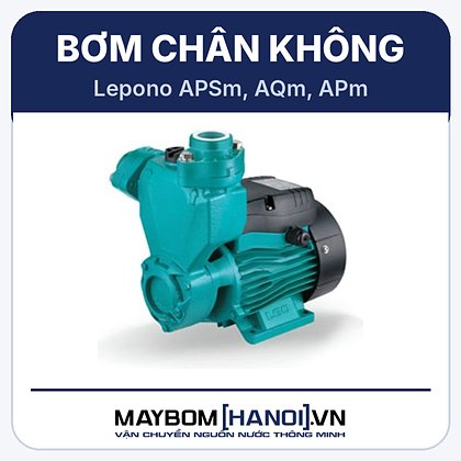 Máy bơm chân không Lepono APSm 75 Máy bơm chân không Lepono APSm 75