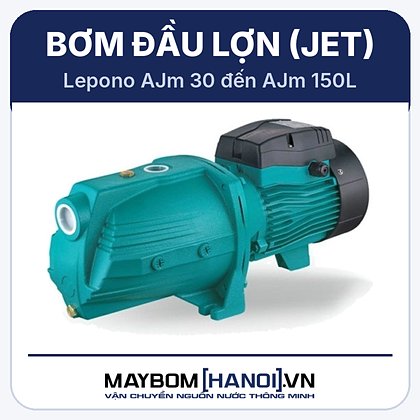 Máy bơm đầu lợn Lepono AJm 75 Máy bơm đầu lợn Lepono AJm 75