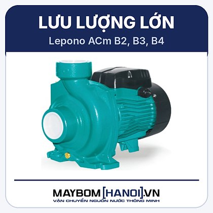 Máy bơm ly tâm lưu lượng lớn Lepono ACm 150B2 Máy bơm ly tâm lưu lượng lớn Lepono ACm 150B2