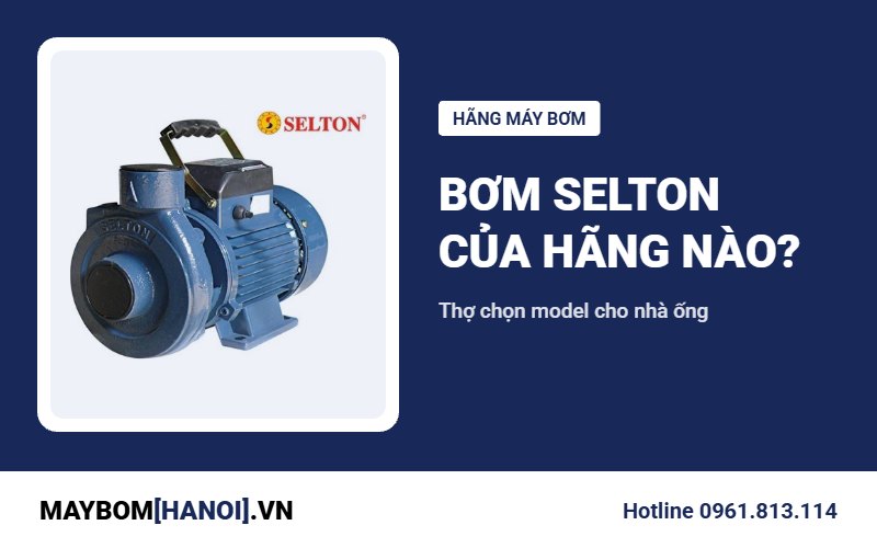 Bơm Selton của hãng nào? Thợ Hà Nội chọn model cho nhà ống