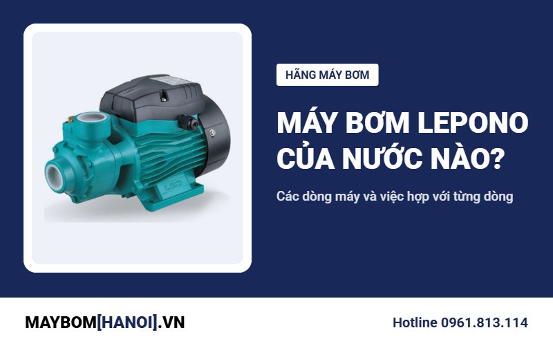 Máy bơm Lepono của nước nào? Thợ phân loại các dòng và việc hợp