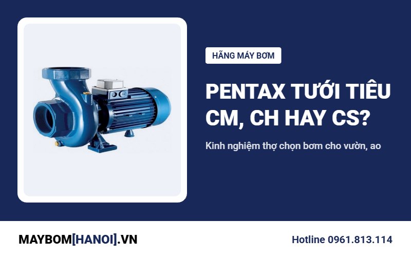 Máy bơm Pentax tưới tiêu: thợ chọn CM, CH hay CS cho vườn, ao